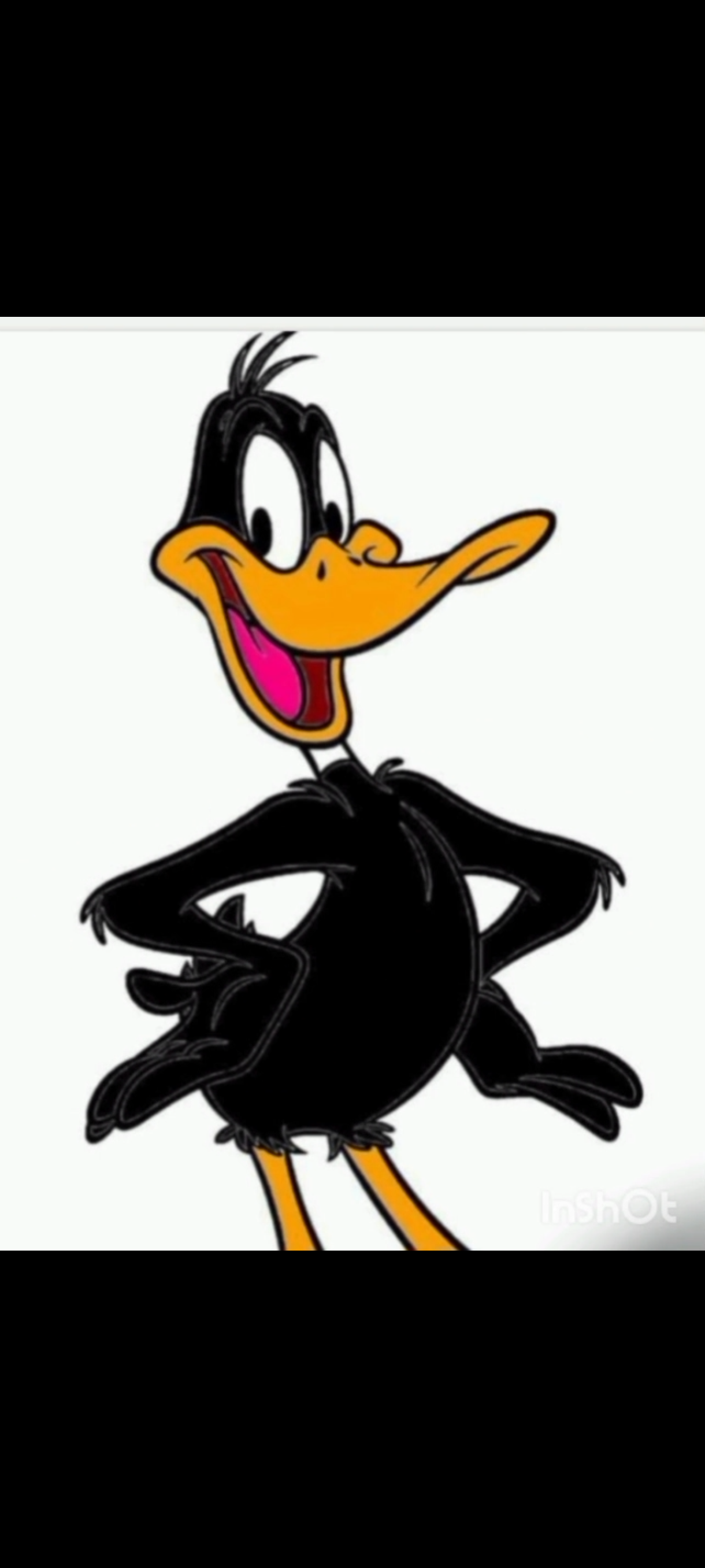 Foto 2 – Torneio trabalhador - Pato Preto